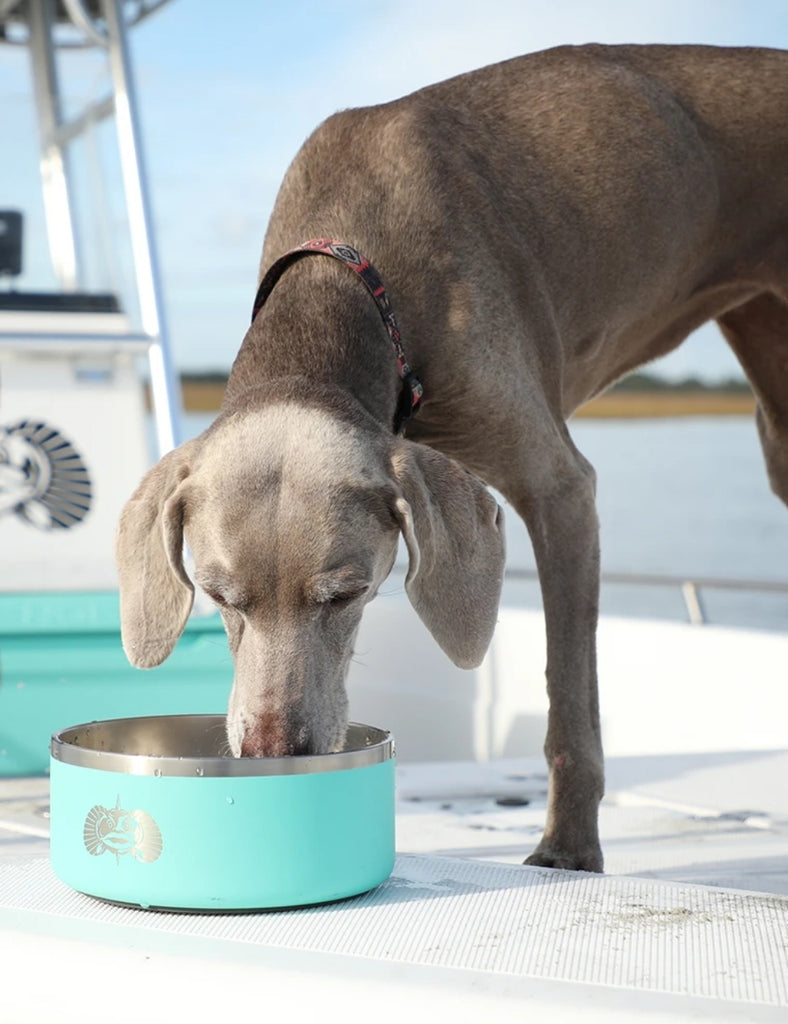 Teal on sale dog bowls